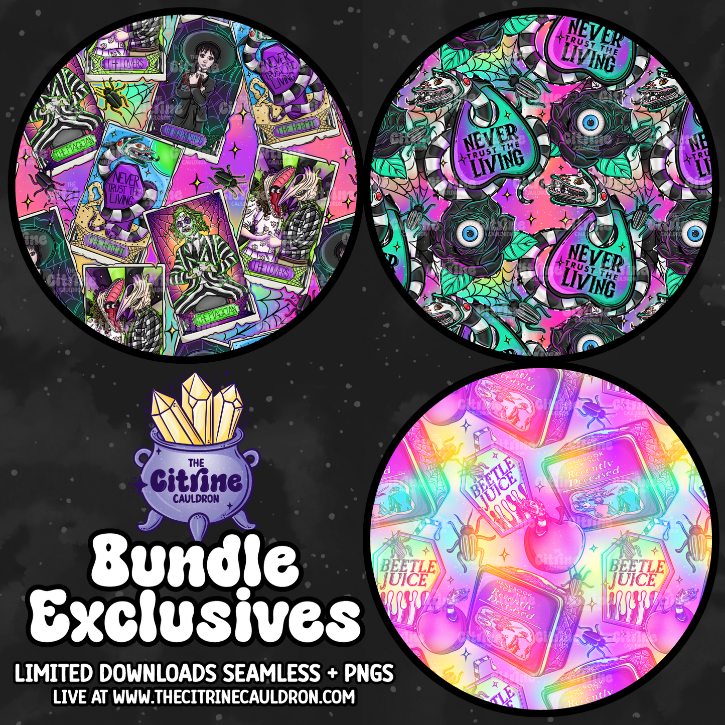Beetle Collection - Seamless, Coordinates & PNG Bundle