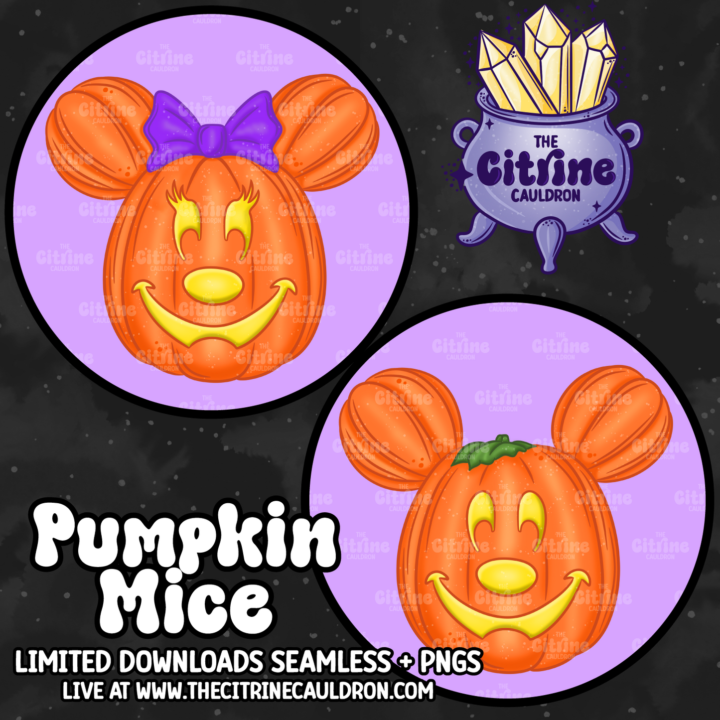 Pumpkin Mice - Sublimation PNG