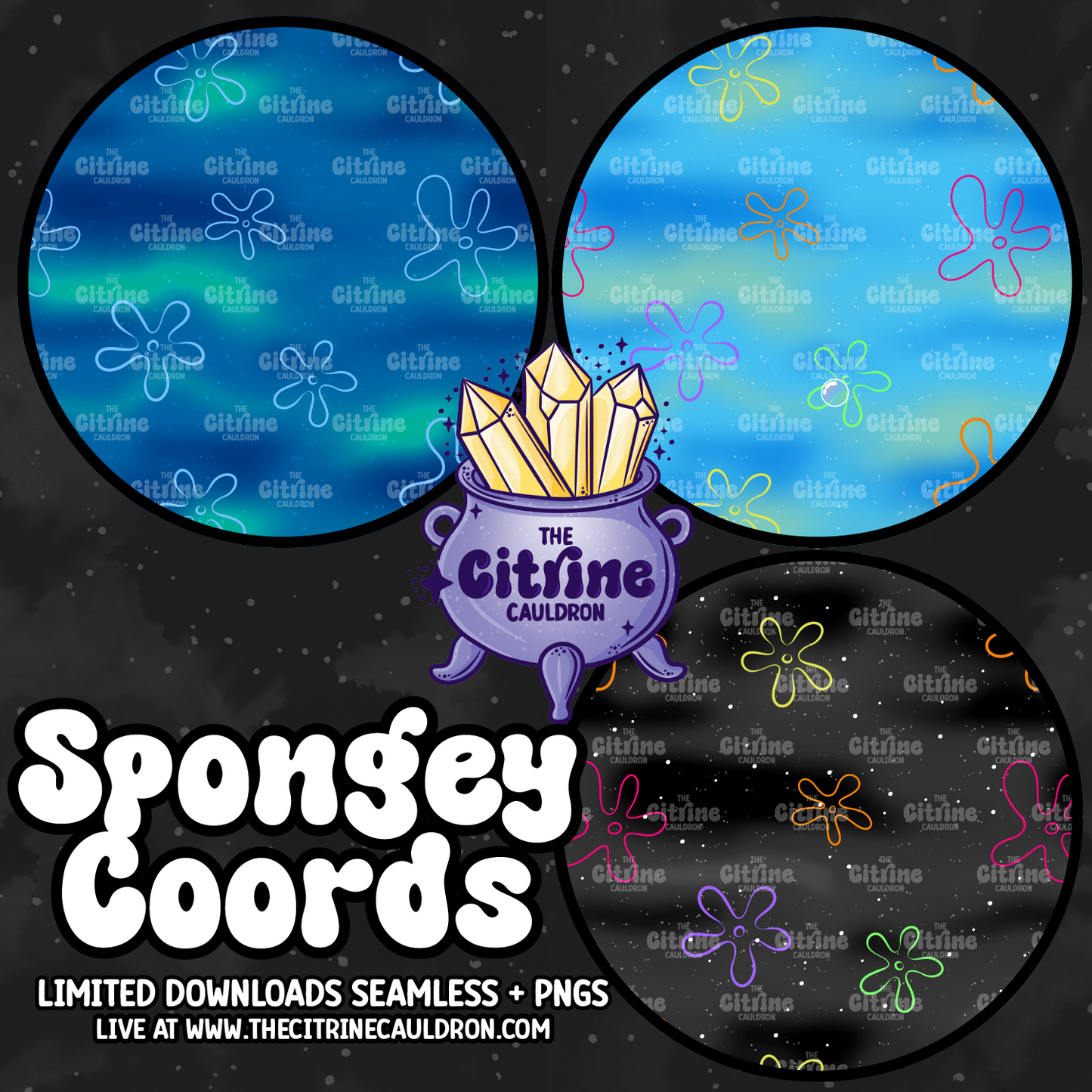 Spongey Collection - Seamless & PNG Bundle