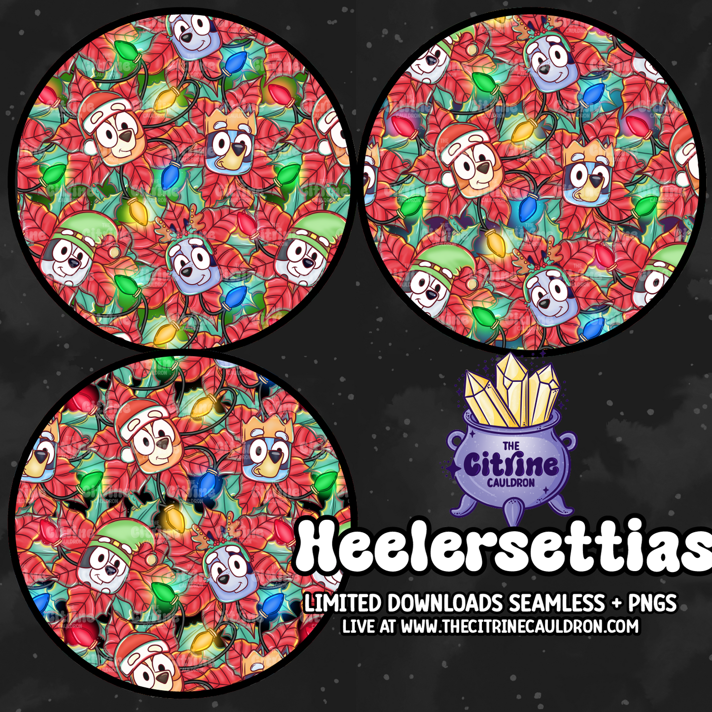 Heelersettias - Seamless