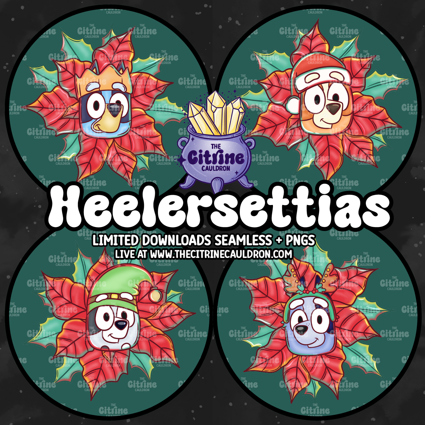 Heelersettias - Sublimation PNG