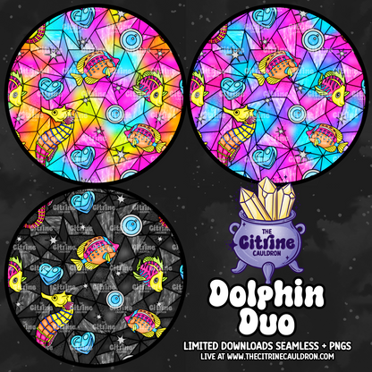 Dolphin Duo - Coordinate