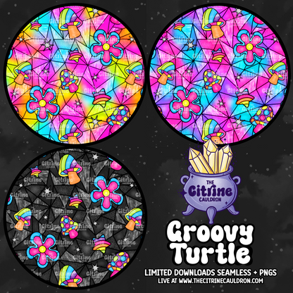 Groovy Turtle - Coordinate