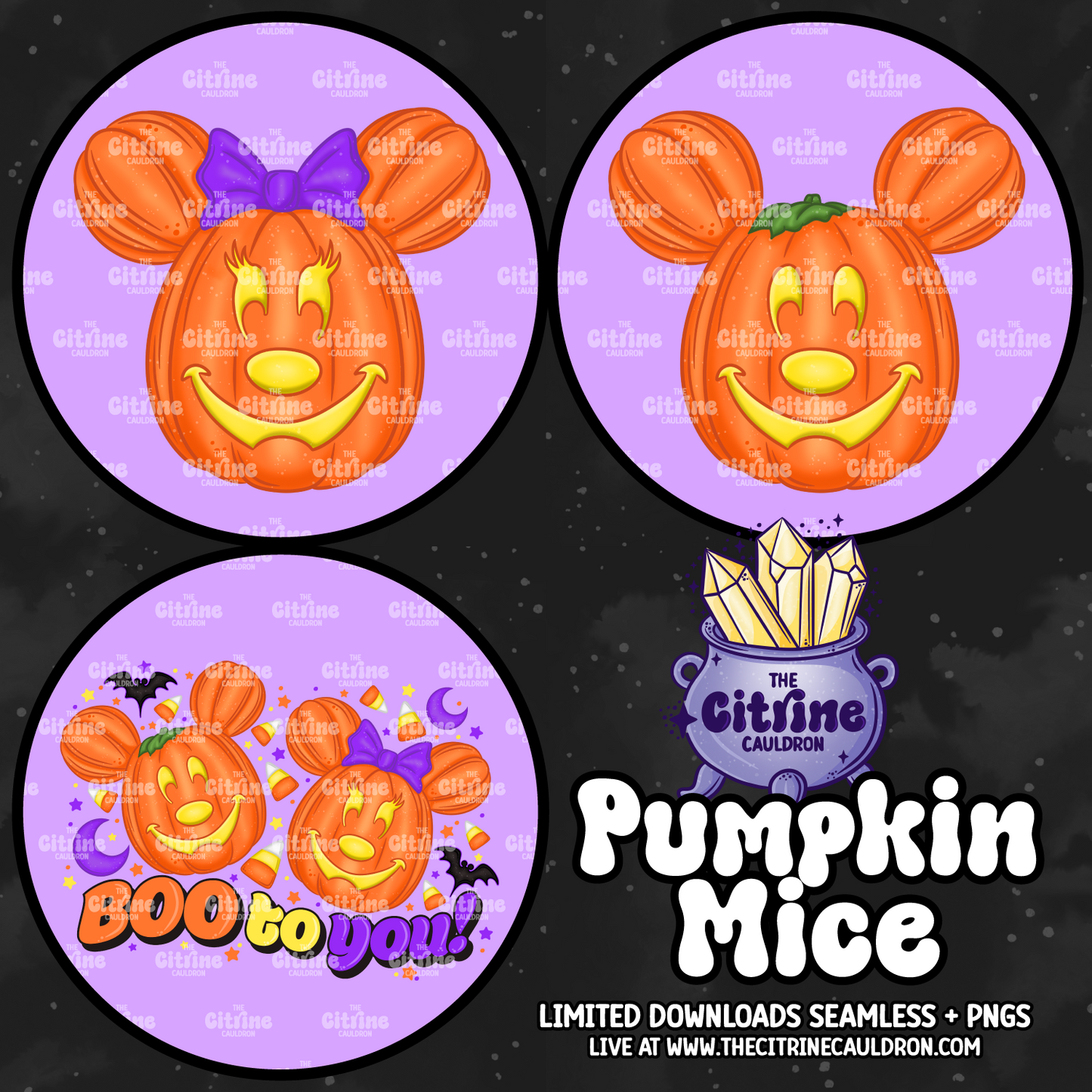 Pumpkin Mice - Sublimation PNG