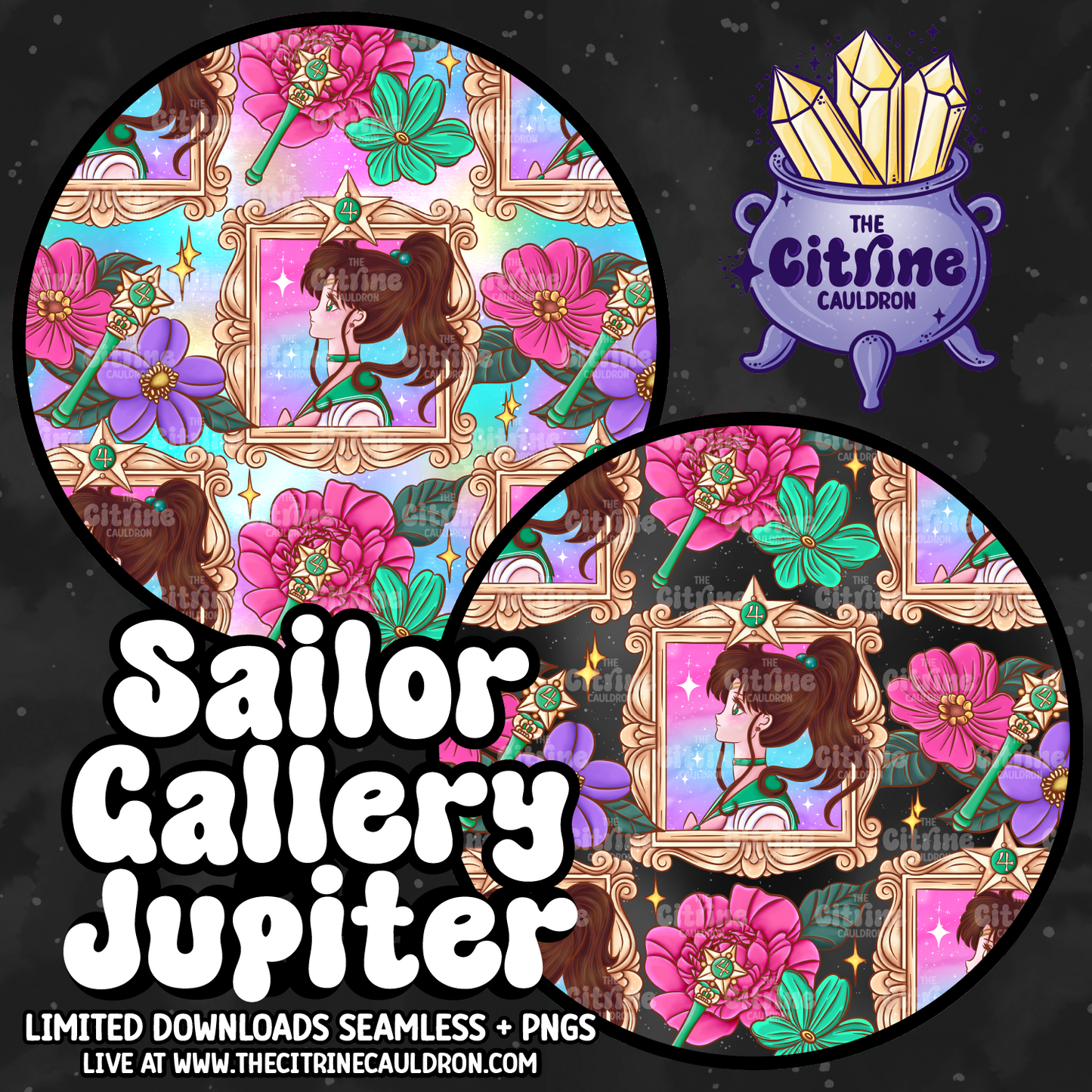 Sailor Gallery Collection - SMALL SHOP Seamless, Coordinates & PNG Bundle