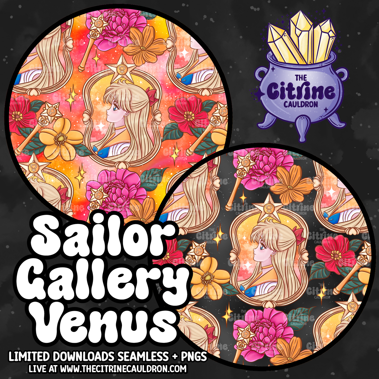 Sailor Gallery Venus - Seamless