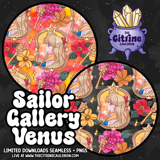 Sailor Gallery Venus - Seamless