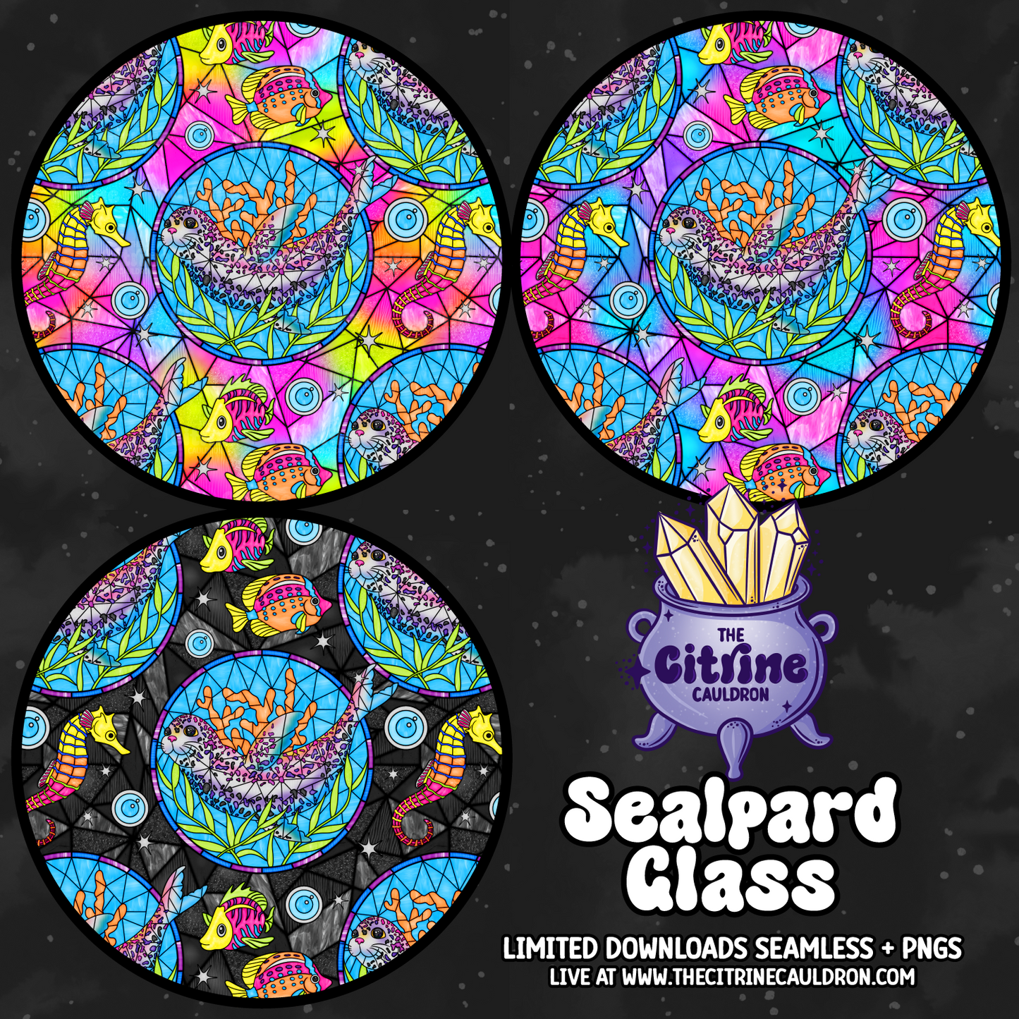 Sealpard Glass - Seamless
